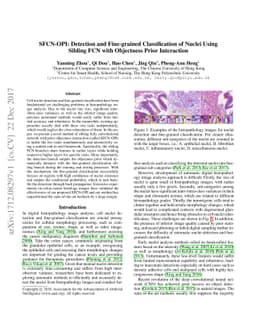 SFCN-OPI: Detection and Fine-grained Classification of Nuclei Using
  Sibling FCN with Objectness Prior Interaction