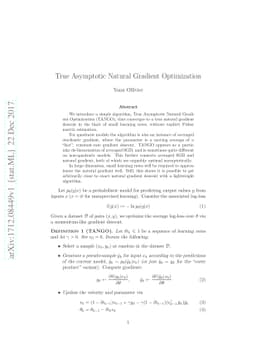 True Asymptotic Natural Gradient Optimization