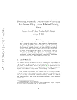 Denoising Adversarial Autoencoders: Classifying Skin Lesions Using
  Limited Labelled Training Data