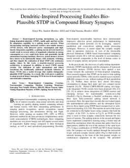 Dendritic-Inspired Processing Enables Bio-Plausible STDP in Compound
  Binary Synapses