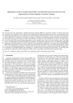 Quantitative analysis of patch-based fully convolutional neural networks
  for tissue segmentation on brain magnetic resonance imaging