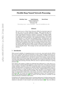 Flexible Deep Neural Network Processing