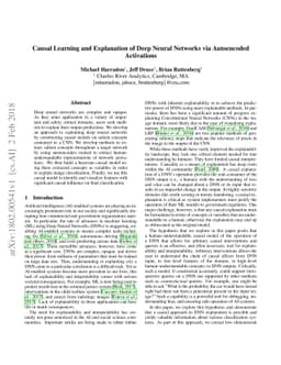 Causal Learning and Explanation of Deep Neural Networks via Autoencoded
  Activations