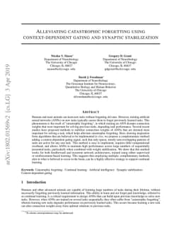 Alleviating catastrophic forgetting using context-dependent gating and
  synaptic stabilization