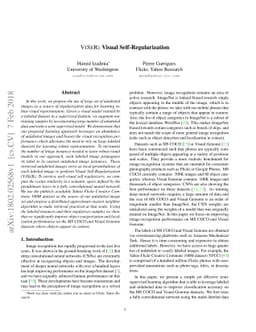 VISER: Visual Self-Regularization