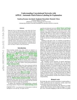 Understanding Convolutional Networks with APPLE : Automatic Patch
  Pattern Labeling for Explanation