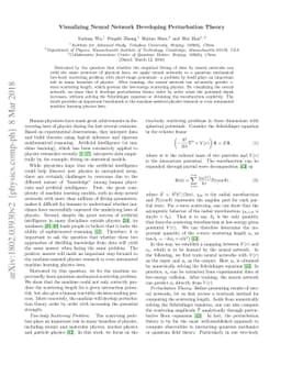 Visualizing Neural Network Developing Perturbation Theory