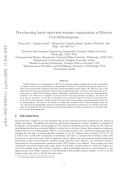 Deep learning based supervised semantic segmentation of Electron
  Cryo-Subtomograms