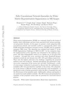 Fully Convolutional Network Ensembles for White Matter Hyperintensities
  Segmentation in MR Images