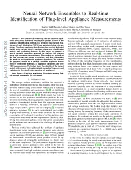 Neural Network Ensembles to Real-time Identification of Plug-level
  Appliance Measurements