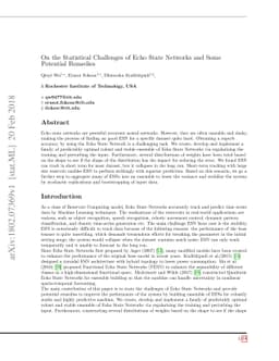 On the Statistical Challenges of Echo State Networks and Some Potential
  Remedies