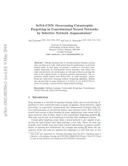 SeNA-CNN: Overcoming Catastrophic Forgetting in Convolutional Neural
  Networks by Selective Network Augmentation