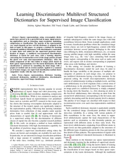 Learning Discriminative Multilevel Structured Dictionaries for
  Supervised Image Classification