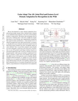 Gotta Adapt Ém All: Joint Pixel and Feature-Level Domain Adaptation for
  Recognition in the Wild