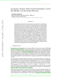 Learning Sparse Structured Ensembles with SG-MCMC and Network Pruning