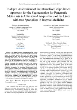 In-depth Assessment of an Interactive Graph-based Approach for the
  Segmentation for Pancreatic Metastasis in Ultrasound Acquisitions of the
  Liver with two Specialists in Internal Medicine