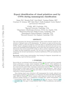 Expert identification of visual primitives used by CNNs during mammogram
  classification