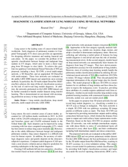 Diagnostic Classification Of Lung Nodules Using 3D Neural Networks