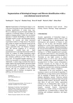 Segmentation of histological images and fibrosis identification with a
  convolutional neural network