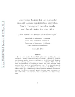Lower error bounds for the stochastic gradient descent optimization
  algorithm: Sharp convergence rates for slowly and fast decaying learning
  rates