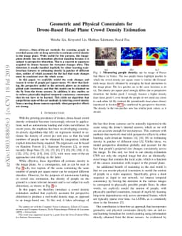 Geometric and Physical Constraints for Drone-Based Head Plane Crowd
  Density Estimation