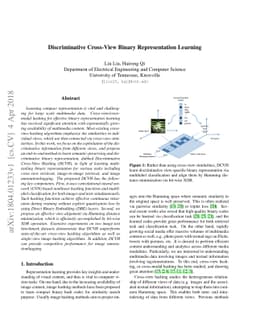 Discriminative Cross-View Binary Representation Learning