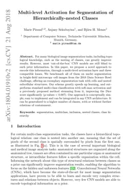 Multi-level Activation for Segmentation of Hierarchically-nested Classes