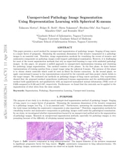 Unsupervised Pathology Image Segmentation Using Representation Learning
  with Spherical K-means