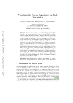 Visualizing the Feature Importance for Black Box Models