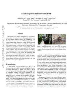 Face Recognition: Primates in the Wild