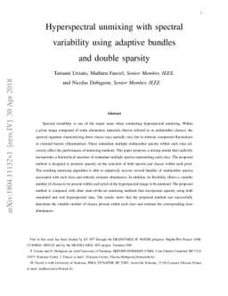 Hyperspectral unmixing with spectral variability using adaptive bundles
  and double sparsity