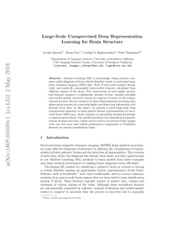 Large-Scale Unsupervised Deep Representation Learning for Brain
  Structure