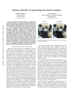 Siamese networks for generating adversarial examples