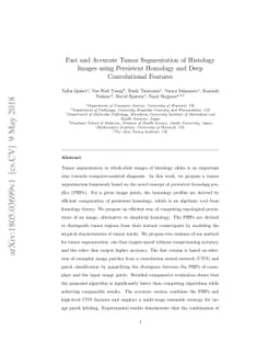 Fast and Accurate Tumor Segmentation of Histology Images using
  Persistent Homology and Deep Convolutional Features