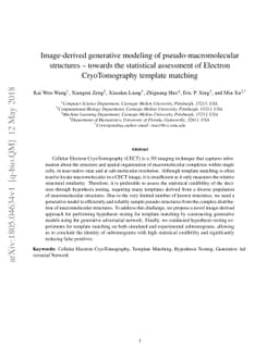 Image-derived generative modeling of pseudo-macromolecular structures -
  towards the statistical assessment of Electron CryoTomography template
  matching