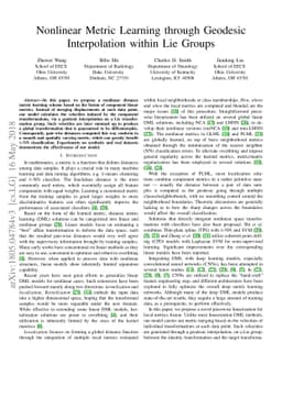 Nonlinear Metric Learning through Geodesic Interpolation within Lie
  Groups