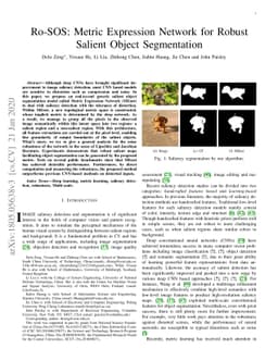 Ro-SOS: Metric Expression Network (MEnet) for Robust Salient Object
  Segmentation