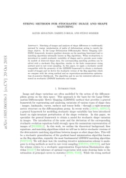 String Methods for Stochastic Image and Shape Matching