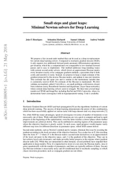 Small steps and giant leaps: Minimal Newton solvers for Deep Learning