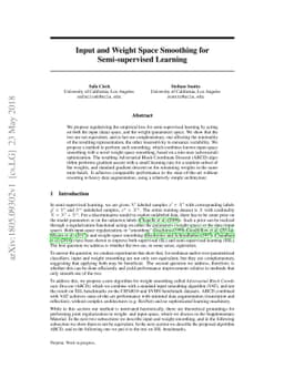 Input and Weight Space Smoothing for Semi-supervised Learning
