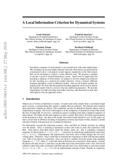 A Local Information Criterion for Dynamical Systems