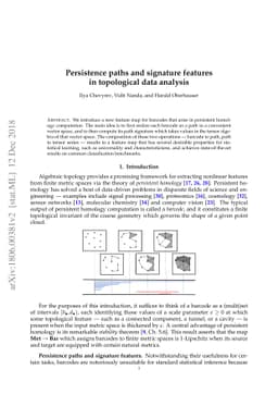 Persistence paths and signature features in topological data analysis