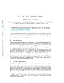 Why the Firefly Algorithm Works?