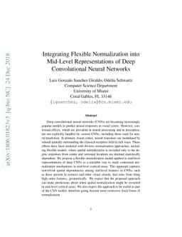 Integrating Flexible Normalization into Mid-Level Representations of
  Deep Convolutional Neural Networks