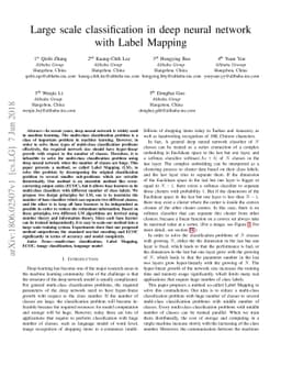 Large scale classification in deep neural network with Label Mapping
