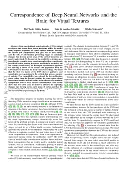Correspondence of Deep Neural Networks and the Brain for Visual Textures