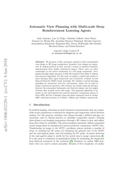 Automatic View Planning with Multi-scale Deep Reinforcement Learning
  Agents