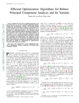 Efficient Optimization Algorithms for Robust Principal Component
  Analysis and Its Variants