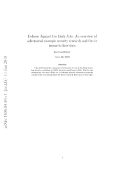 Defense Against the Dark Arts: An overview of adversarial example
  security research and future research directions