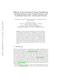 Efficient Active Learning for Image Classification and Segmentation
  using a Sample Selection and Conditional Generative Adversarial Network